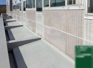 現地写真